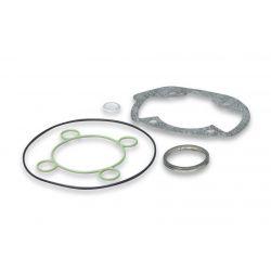 SET TESNIL - MALOSSI za 68 cc Ø 47 