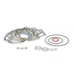 SET TESNIL - MALOSSI "Testa Rossa" 94 cc za MINARELLI 50cc 2t LC