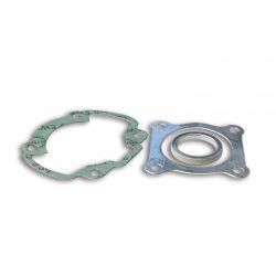 SET TESNIL - MALOSSI cylinder 50cc 2t AC for HONDA Bali/SFX/X8R Ø 47 mm