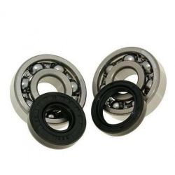 LEŽAJI IN SEMERINGI ZA GRED - DMP - MINARELLI AM6