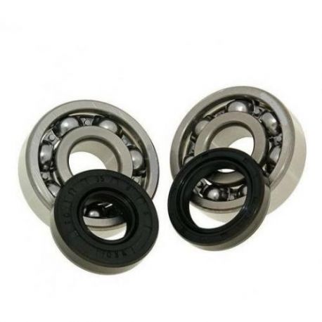 LEŽAJI IN SEMERINGI ZA GRED - DMP - MINARELLI AM6