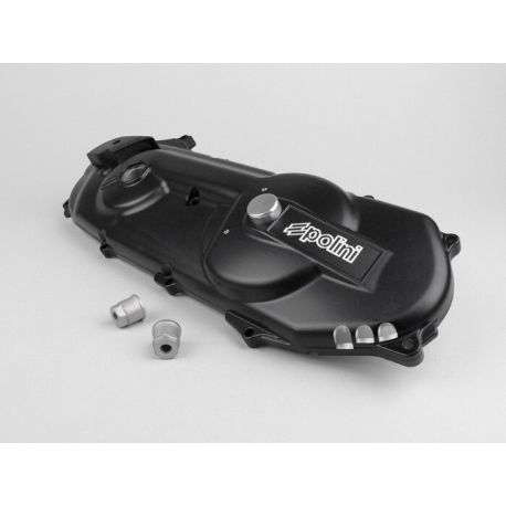 POKROV VARIOMATA-POLINI Evolution- Minarelli MA & MY - Krom