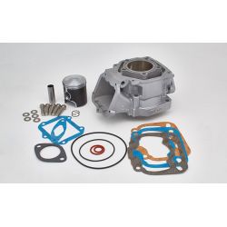 Cilinderkit -ITALKIT / GILARDONI - Rotax 122 / RS125cc 2T / komplet ne vsebuje glave
