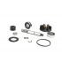 SET ZA OBNOVO VODNE ČRPALKE -PIAGGIO- 50cc LC 2T