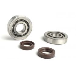 SET LEŽAJEV IN SEMERINGOV -BGM PRO- Piaggio 50cc 2T
