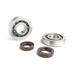 SET LEŽAJEV IN SEMERINGOV-BGM-Piaggio 50cc 2-stroke