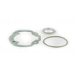 SET TESNIL - MALOSSI - MHR - KYMCO DJY - K12