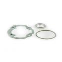 SET TESNIL - MALOSSI - MHR - KYMCO DJY - K12