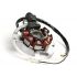 NAVITJE -BGM ORIGINAL stator- CPI 50cc (Euro 1, 5 Kabel)