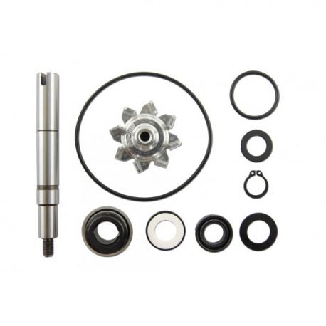 SET ZA OBNOVO VODNE ČRPALKE - VICMA - KYMCO XCITING 500