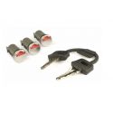 SET ZA OBNOVO KLJUČAVNIC - ZADI - VESPA PK50-125/S/XL/XL2PX80-200/PE/LUSSO/COSA