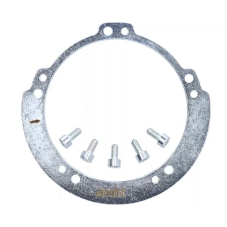 Utež rotorja / magneta - POLINI- -POLINI- za P1710556 z originalno gredjo