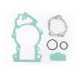 Set tesnil -POLINI- za blok Evolution / Piaggio Ciao, Bravo, Si, Boxer