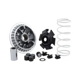 VARIOMAT - MALOSSI - YAMAHA N Max 125 ie 4T LC Euro 5 OD 2021 (E32TE) / 20X17mm / 10,5g