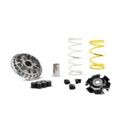 Variomat -MALOSSI Multivar Maxi- Honda 125-150i ABS 2013- (20x17mm)
