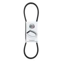 Jermen -DAYCO- Piaggio Ciao / 9.5x950/960mm / cvt7153