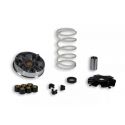 VARIOMAT - MALOSSI Multivar - HONDA/KYMCO/ Sym 50 2T / 16x13mm - 7,0g