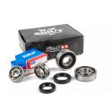 Set ležajev in osnih tesnil / semeringov zobniškega prenosa -STAGE6- Minarelli Horizontal / Vertikal 50cc 2T