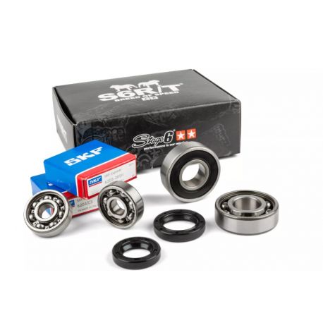 Set ležajev in osnih tesnil / semeringov zobniškega prenosa -STAGE6- Minarelli Horizontal / Vertikal 50cc 2T