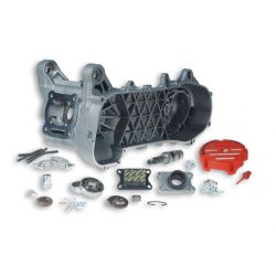 Blok motorja MALOSSI C-One Racing - Minarelli 50 2T LC brez el. zaganjača
