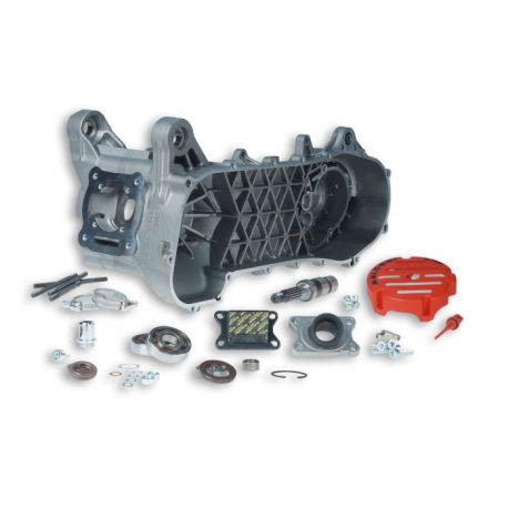 Blok motorja MALOSSI C-One Racing - Minarelli 50 2T LC brez el. zaganjača