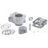 CILINDERKIT -MALOSSI 166cc -Honda CBR 125 R