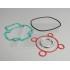 SET TESNIL -SCEED 42- Piaggio 50cc LC (5 kotna glava)