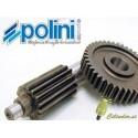 Zobniški prenos -POLINI- Minarelli 100cc 15/41=2,73