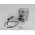 BAT -DR-Piaggio 70cc 48.0mm
