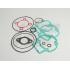 SET TESNIL -BGM ORIGINAL- Piaggio 50cc LC (5 kotna glava)