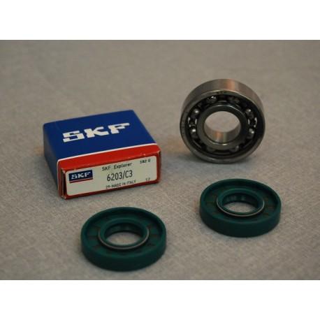 SET LEŽAJEV IN SEMERINGOV -TOMOS- SKF C3