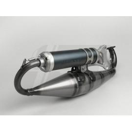 IIZPUH -MALOSSI MHR Team V.06- Minarelli 50cc (horizontal)