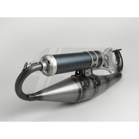 IIZPUH -MALOSSI MHR Team V.06- Minarelli 50cc (horizontal)