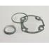 SET TESNIL -MALOSSI 70cc- Minarelli 50cc AC HOR.