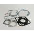 SET TESNIL -BGM ORIGINAL- Peugeot 50cc AC (horizontal cilinder)