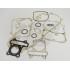 SET TESNIL MOTORJA -BGM ORIGINAL- GY6 50cc (139QMA/B KRATEK BLOK)