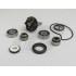 SET ZA OBNOVO VODNE ČRPALKE -BGM- Piaggio 250-300cc Quasar LC