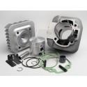 CILINDERKIT - MALOSSI 70cc Sport - Piaggio AC 2T