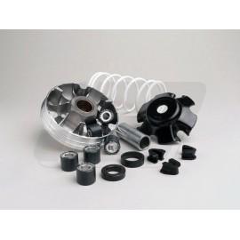 VARIOMAT - MALOSSI MULTIVAR 2000 - Piaggio 50cc (od letnika 1999) - uteži 1