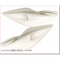 STRANSKA PLASTIKA -KIESLER- Desna EVO - Aerox