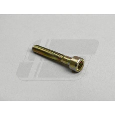 VIJAKI - DIN 912 - M5X30mm ZA UTEŽI STRANSKE PLOŠČE DEKOMP.ENOTE PIAGGIO LE