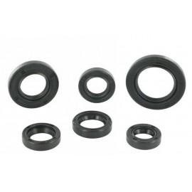 SET OLJNIH TESNIL - Motoforce, Peugeot (6 kos.)