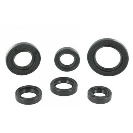 SET OLJNIH TESNIL - Motoforce, Peugeot (6 kos.)