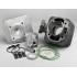 CILINDER KIT - MALOSSI 70 cc Sport- Peugeot AC (vertical) - SPEEDFIGHT1 50 