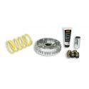 Variator -MALOSSI Multivar 2000- APRILIA Leonardo/BENELLI Velvet/ITALJET Jupiter /MALAGUTI Madison/PassWord /MBK Skyliner/Kilibr