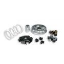 Variomat MALOSSI Multivar 2000 - PEUGEOT 125 Geopolis i.e. /Jet Force/Satelis (FD6), 4t LC 20x17 mm, 6 uteži, 9,0g