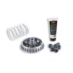 Variomat MALOSSI Multivar 2000 - APRILIA Arrecife/Atlantic /Scarabeo/GILERA Fuoco/Nexus /MALAGUTI Spidermax/PEUGEOT Geopolis