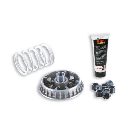 Variomat MALOSSI Multivar 2000 - APRILIA Arrecife/Atlantic /Scarabeo/GILERA Fuoco/Nexus /MALAGUTI Spidermax/PEUGEOT Geopolis/Sat