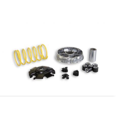 Variomat MALOSSI Multivar 2000, for APRILIA 850 SRV i.e. /GILERA 800 GP, 800cc 4t LC 25x19 mm, 8 uteži, 17,0 /19,0g