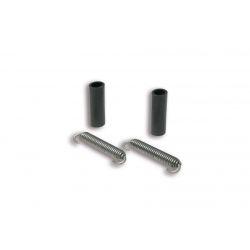 Vzmeti izpuha - MALOSSI Wild Lion